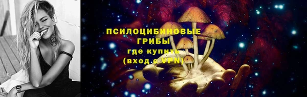 ECSTASY Заводоуковск