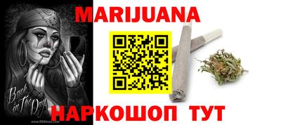 СК Кингисепп