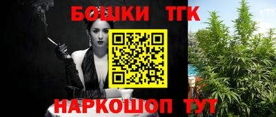 СК Кингисепп