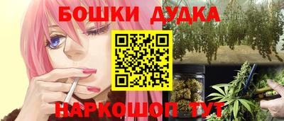 СК Кингисепп