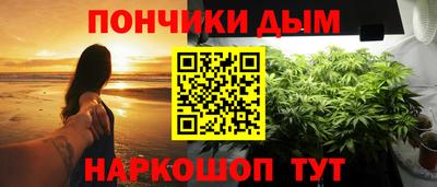 СК Кингисепп