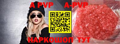 СК Кингисепп