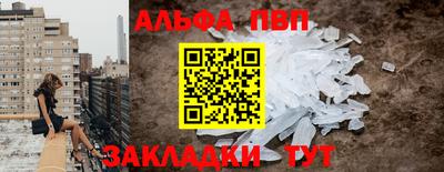 СК Кингисепп