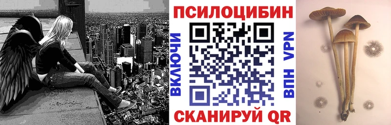 мориарти как зайти  как найти наркотики  мега вход  Северобайкальск  Галлюциногенные грибы Magic Shrooms 