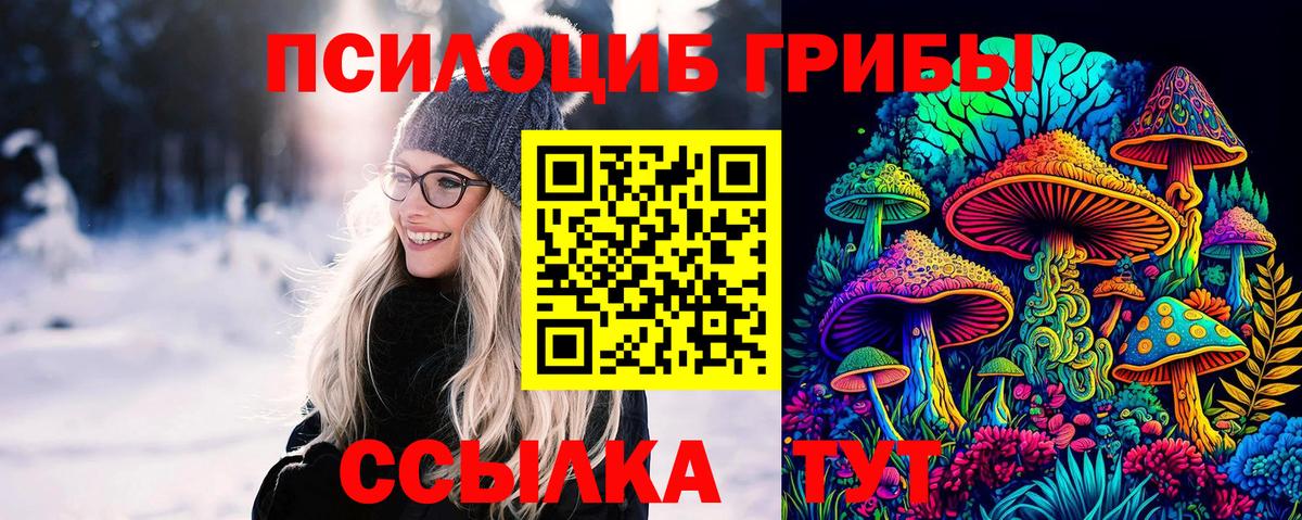 Северобайкальск  Псилоцибиновые грибы Cubensis  купить наркоту  Псилоцибиновые грибы ЛСД  Вход с VPN 