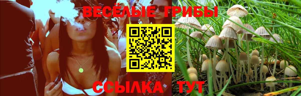 Галлюциногенные грибы Psilocybe  Северобайкальск  закладки  Псилоцибиновые грибы Magic Shrooms 